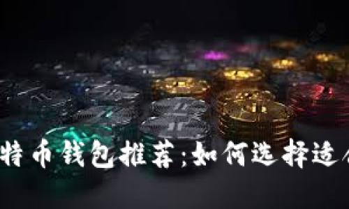 2023年最受欢迎的比特币钱包推荐：如何选择适合你的数字资产守护者