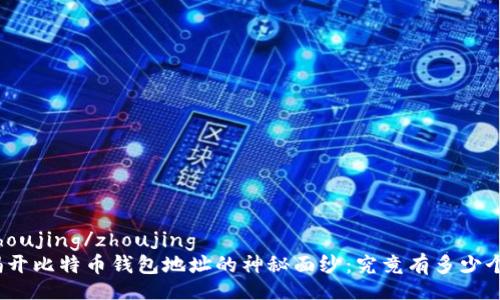 zhoujing/zhoujing
揭开比特币钱包地址的神秘面纱：究竟有多少个？
