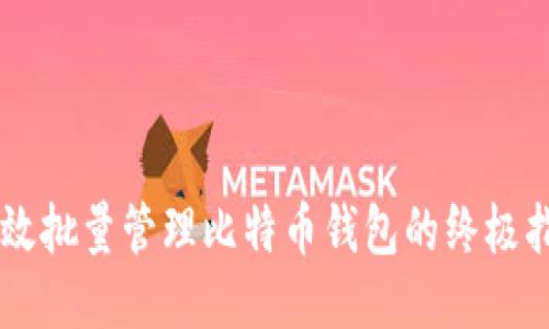 高效批量管理比特币钱包的终极指南