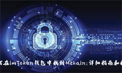 如何在imToken钱包中找到Mchain：详细指南和技巧