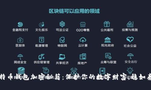 比特币钱包加密秘籍：保护你的数字财富，稳如泰山