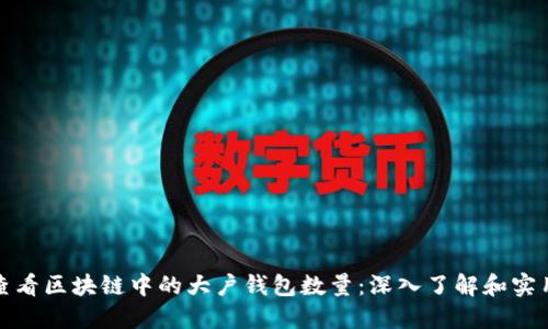 如何查看区块链中的大户钱包数量：深入了解和实用技巧