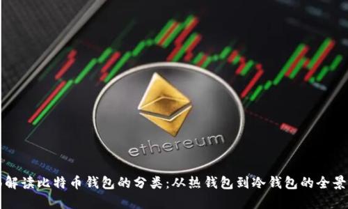 全面解读比特币钱包的分类：从热钱包到冷钱包的全景分析