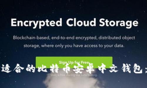 如何选择适合的比特币安卓中文钱包：全面指南