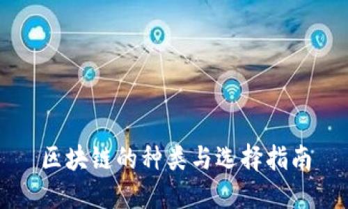 区块链的种类与选择指南