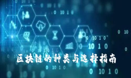 区块链的种类与选择指南